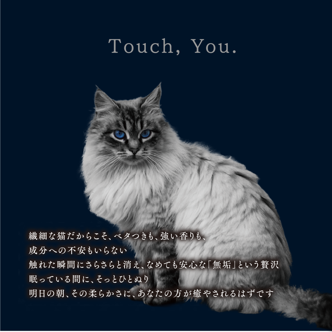 ふれる、きみ - Touch You -