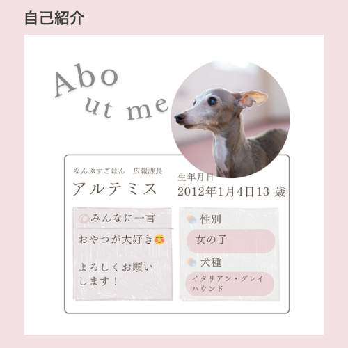 名入れギフト
