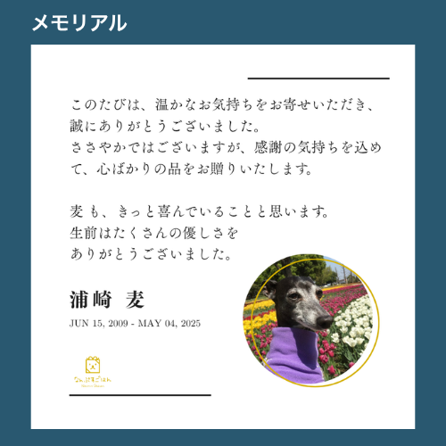 名入れギフト